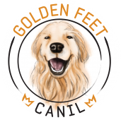 Canil Golden Feet